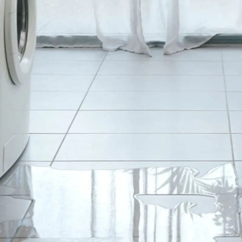 Appliance Leak Cleanup in Milton, VT