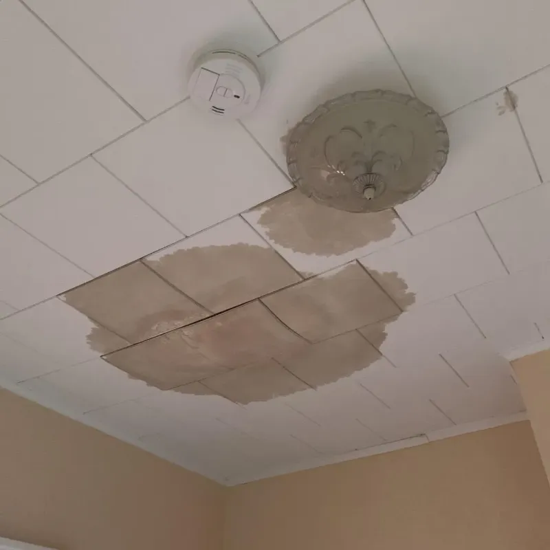Ceiling Water Damage Repair in Milton, VT