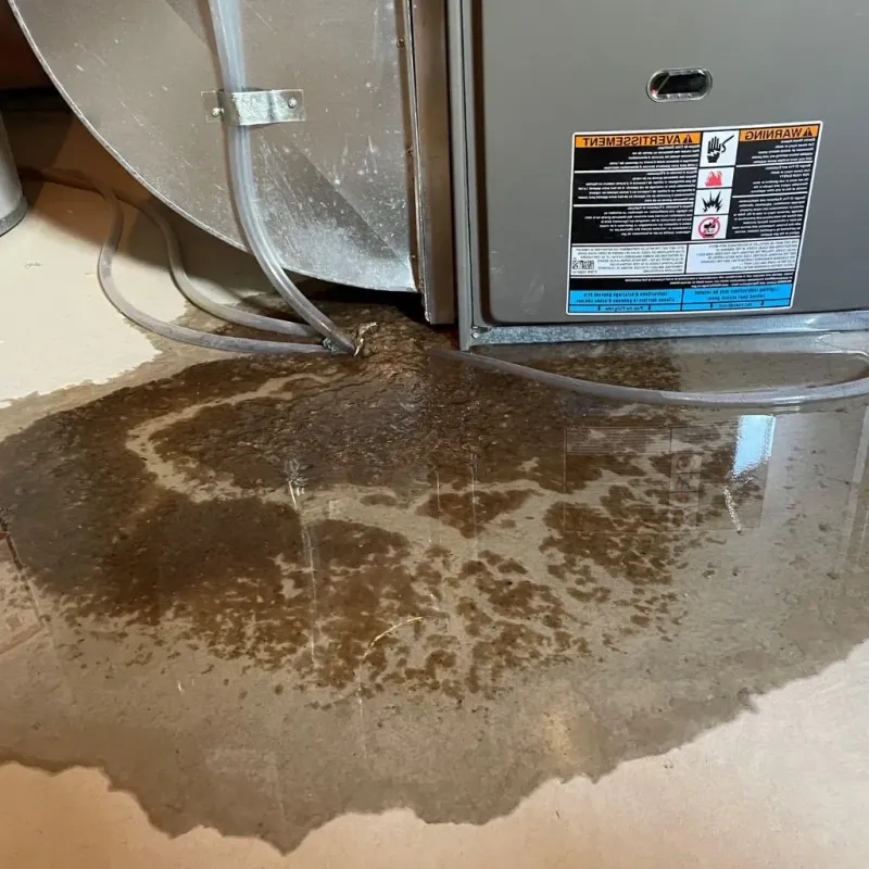 Pipe Burst and Leak Restoration in Milton, VT