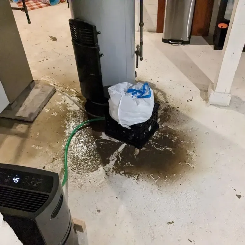Sewage Backup Cleanup Service in Milton, VT
